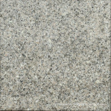 Hot Sale Roma Ronkonkoma Omaha Rock Solid Granite Tiles